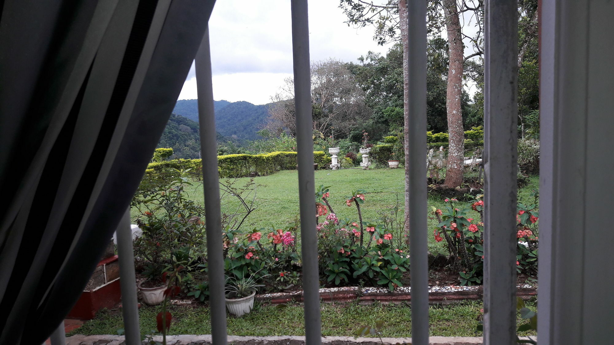 Oyo 441 Kandy Hill Bungalow Экстерьер фото